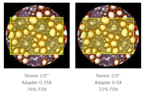Microscope c-mount adapter comparisons