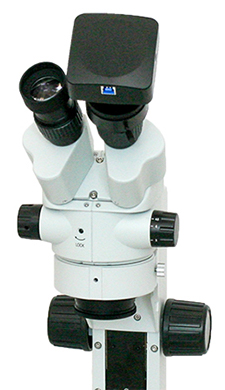 Stereo Microscope with Over Eyepiece Camera Mounted