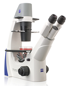 Zeiss Primovert Live Cell Inverted Microscope
