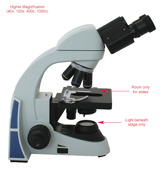 Biological Microscope Labeled