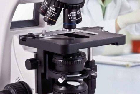 phase contrast microscopes