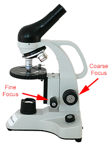 Microscope coarse and fine focus knobs
