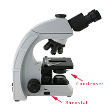 Microscope Condenser and Rheostat Control
