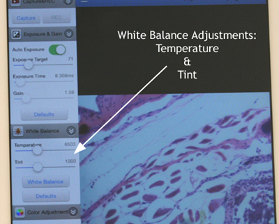 WiFi microscope camera white balance image