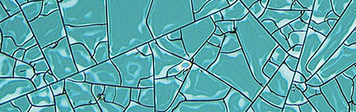Polymers captured under a polarizing microscope.