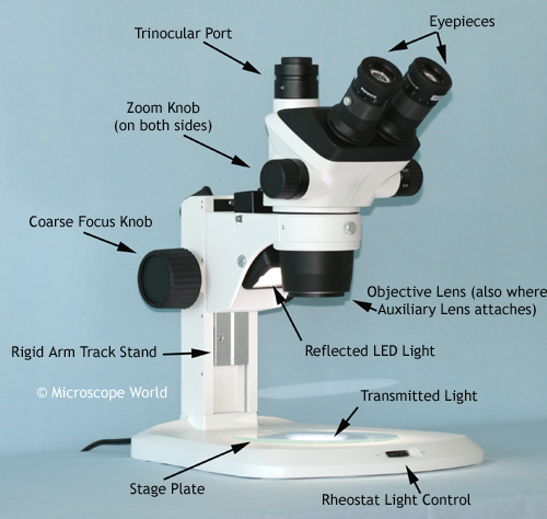 parts of a stereo microscope