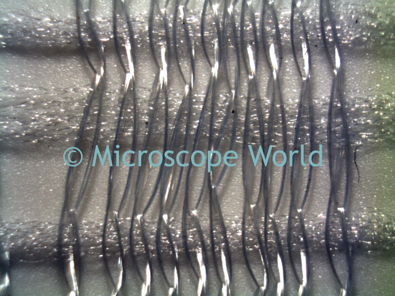 fibres under microscope. Microscope World currently has