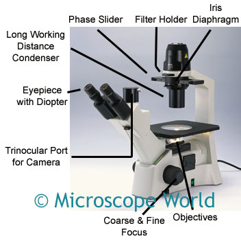 microscope diaphragm iris