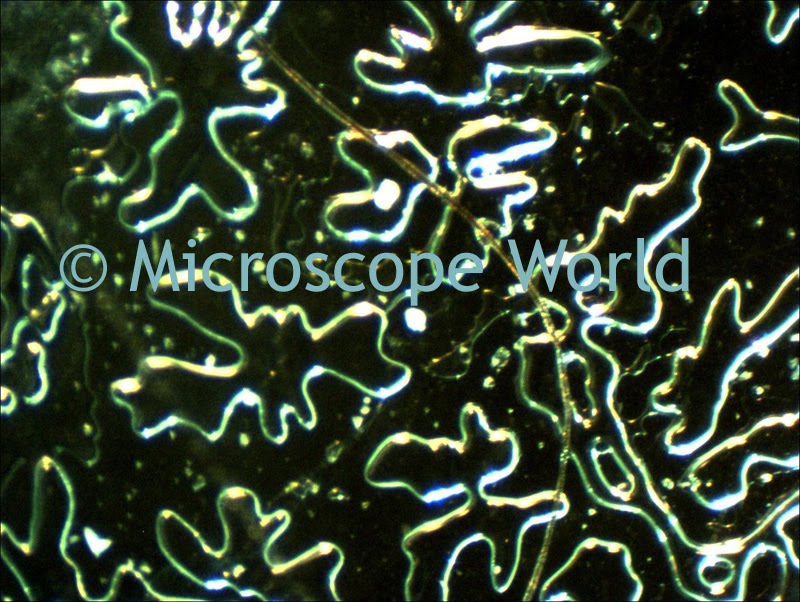 fibres under microscope. Plastic Film Under Microscope