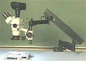 Trinocular stereo zoom microscope on articulating arm