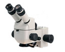 K Stereo Microscope