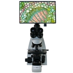 Best College and University Microscopes