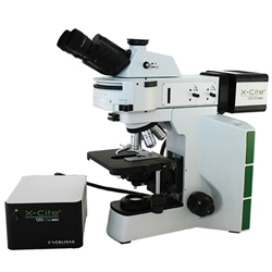 RB40-FL Fluorescence Microscope