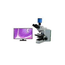 Microscope Digital Camera Options