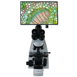 Best College and University Microscopes