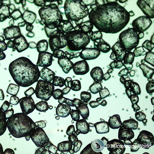 Microscope image of KCl, NaCl, CaCl2 with a quartz wedge at 37C under polarization