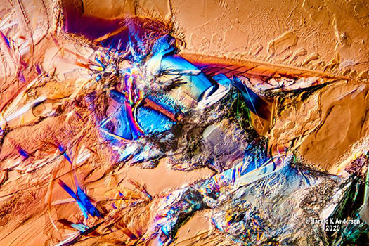 Amino Acids Beta-Alanine and L-Glutamine under the Microscope