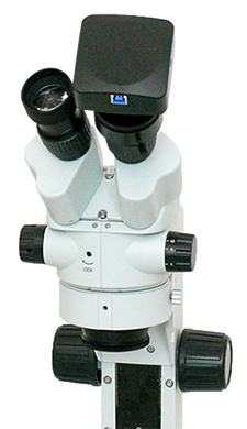 Stereo Microscope with Camera Mounted over Binocular Eyetube