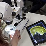 Microscope Digital Classroom