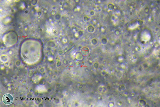 Emulsions captured under the microscope with a 1x c-mount.