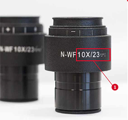 Stereo Microscope Eyepieces Field of View