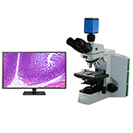 HD Microscope Camera