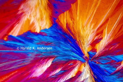 Tartaric Acid under Polarizing Microscope