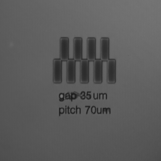 Flipped Laser Scanning Confocal Micrsocope Fidicial Image 20x