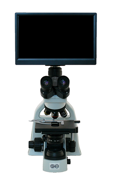 digital upright microscope