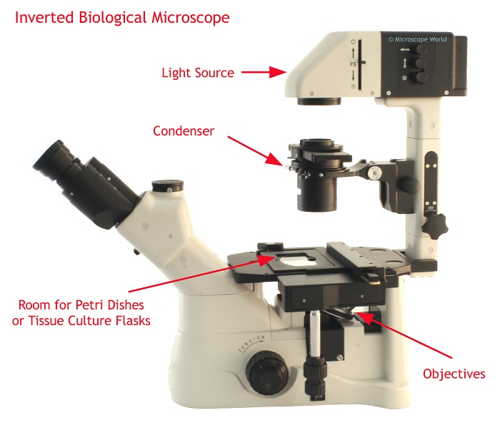 inverted biological microscopes