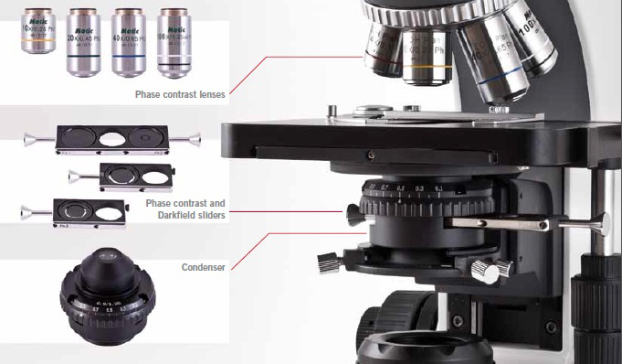 phase microscopes