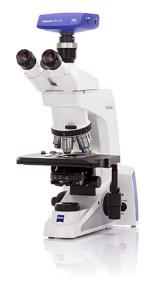 phase microscopes