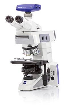 polarizing microscopes