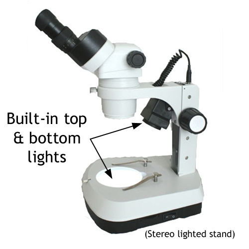 industrial stereo microscope