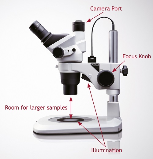 stereo microscopes