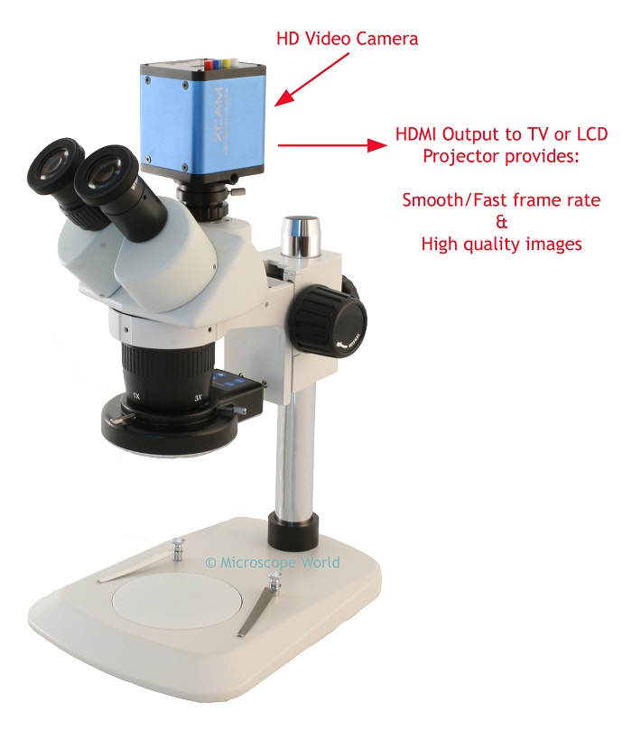 video microscopes