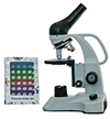 Microscope with Prepared Slides
