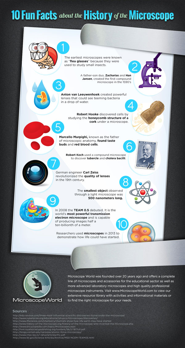 Summary Chart For Microscope