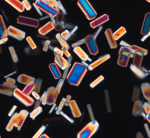Crystals under a polarizing microscope