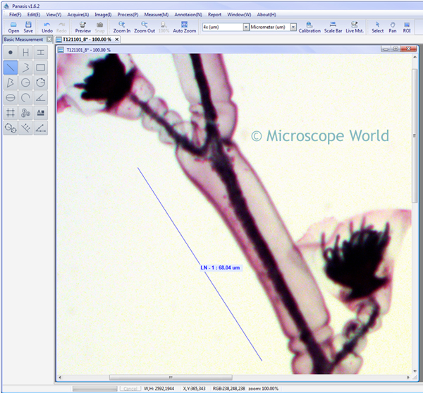 Panasis Measurement Feature