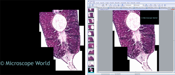 Panasis Manual Tiling Image