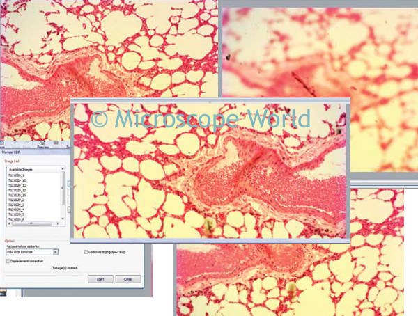 Panasis Multi-Focus Image