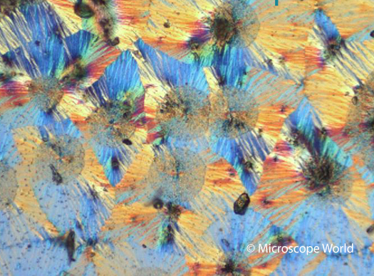 Vitamin C captured under a polarizing microscope 200x