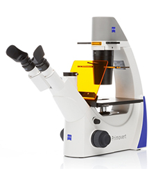 Zeiss Primovert iLED Fluorescence Phase Inverted Microscope