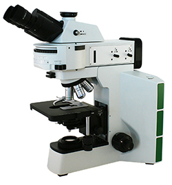 Rabies Diagnosis Microscope