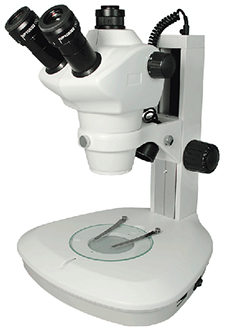 Stereo Zoom 8x-50x Microscope