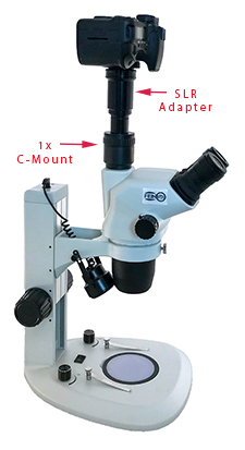 Microscope SLR Adapter for Digital Camera