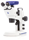 ZEISS Stemi 305 Student Stereo Microscope