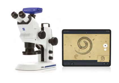 Usando microscópios para testar a carne quanto à presença de minhocas de Trichinella Stemi508_Trichinella