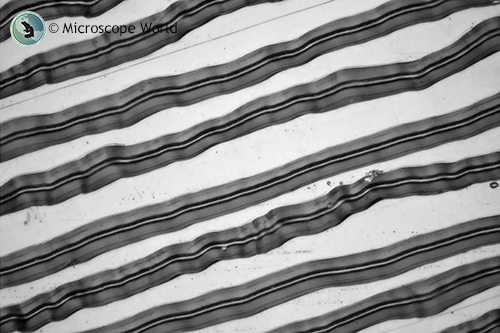 Vinyl record under the microcope at 200x.